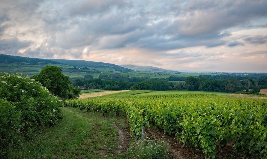 Tous les bons plans pour un séjour en Bourgogne