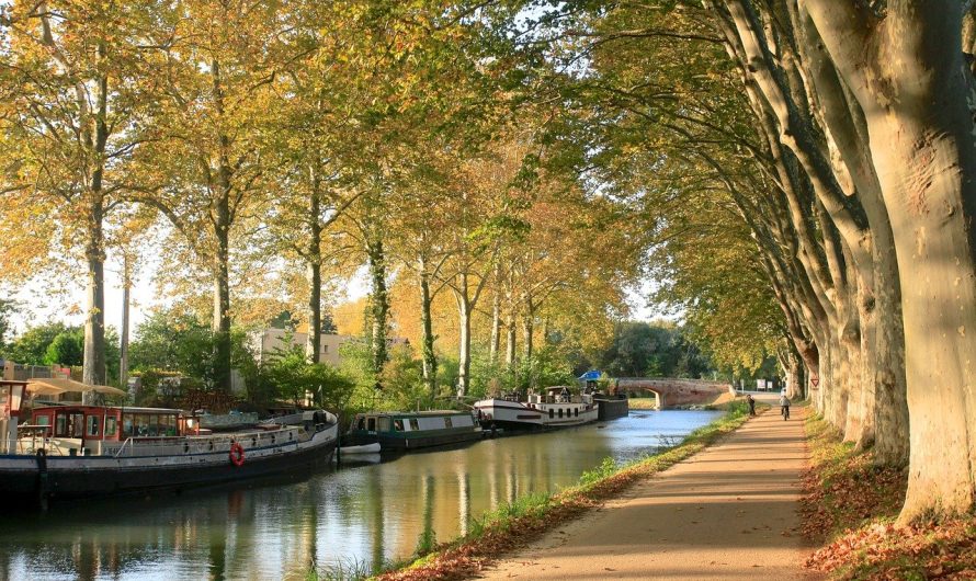 Les avantages de la location de bus avec chauffeur pour visiter Toulouse