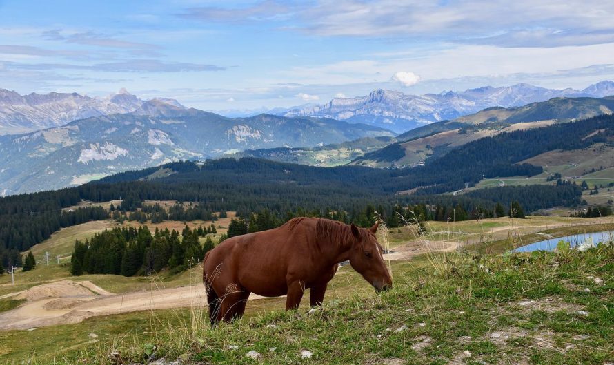 Vacances à la montagne : les atouts de la Haute-Savoie