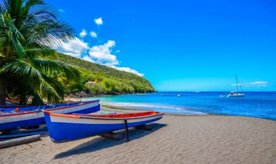3 astuces pour mieux profiter de la Martinique