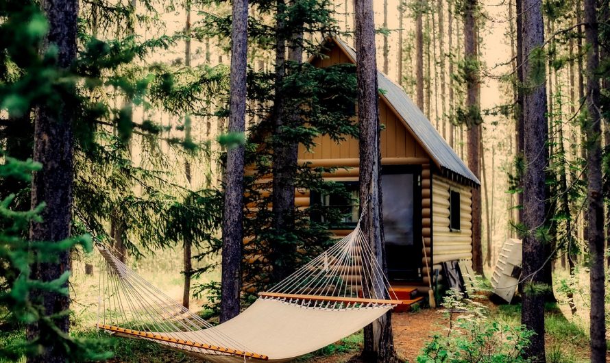 Pourquoi faire un séjour dans une cabane dans les arbres
