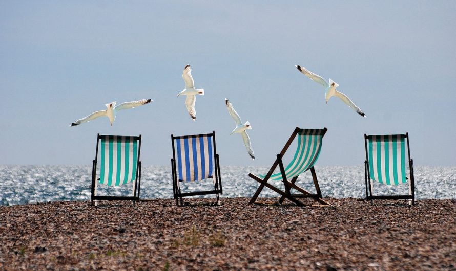 Comment découvrir les activités de votre lieu de vacances ?