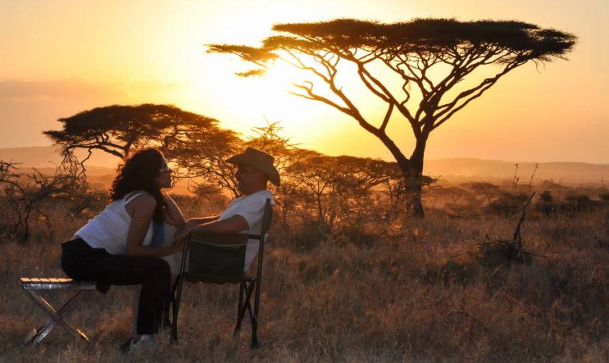 Safari en Tanzanie : comment bien planifier ?
