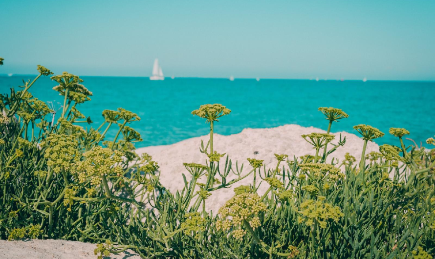 Se loger facilement lorsqu&rsquo;on est en vacances sur l&rsquo;Île de Ré