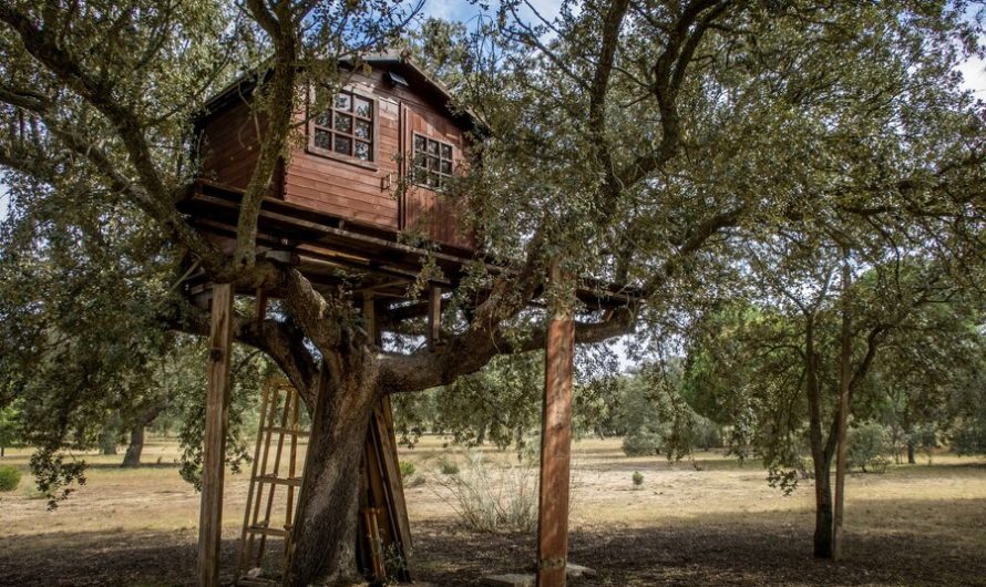 Quels secrets se cachent derrière un séjour inoubliable dans une cabane dans les arbres à Dihan ?