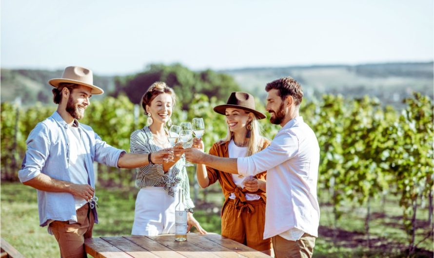 Séjour dégustation de vin : une expérience unique pour les amateurs