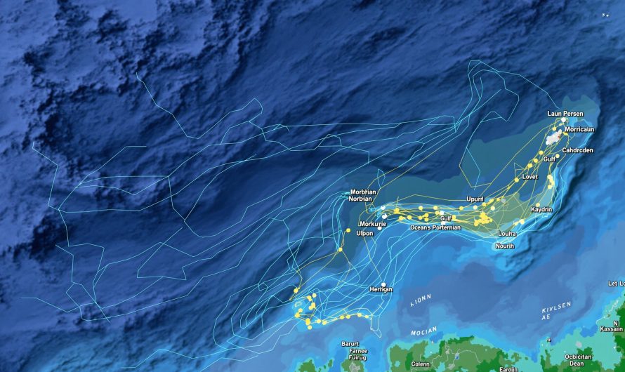 Carte des courants marins dans le golfe du Morbihan