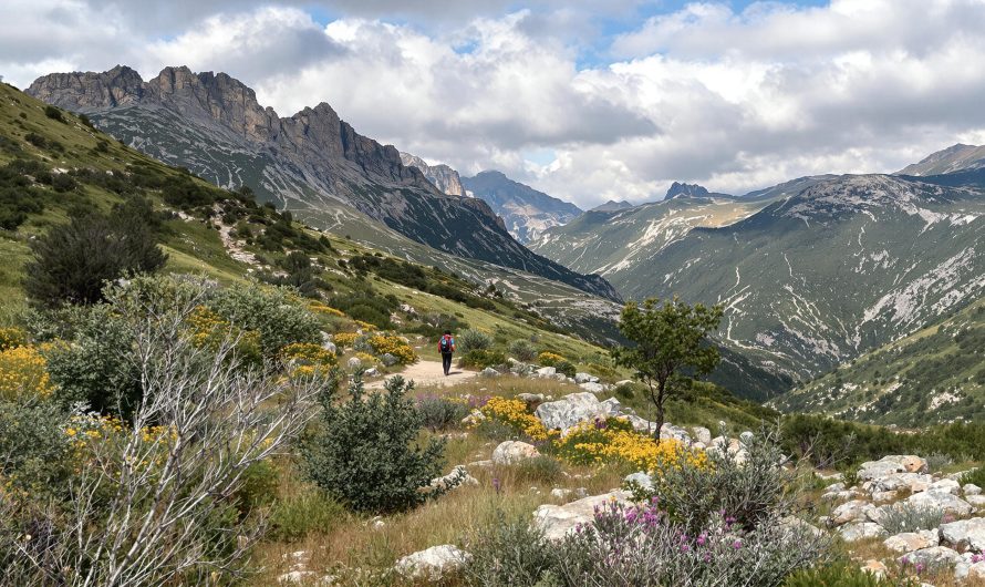 Guide complet pour randonner sur le sentier GR11 en Espagne