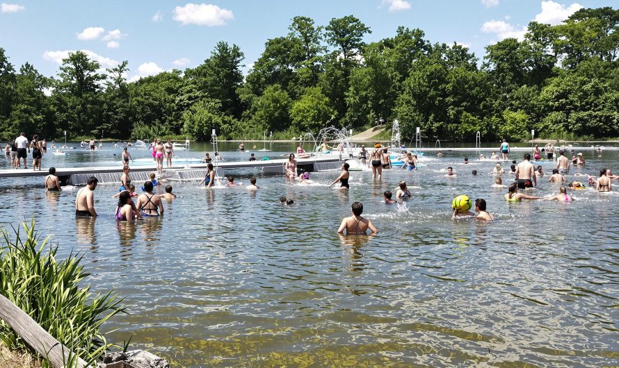 Découvrez Wam Park Albertville: activités, tarifs et horaires