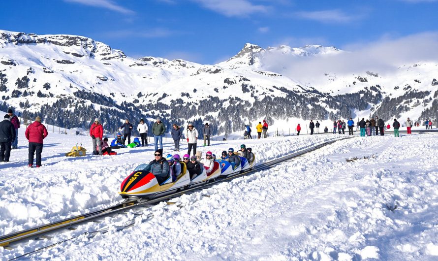 Découvrez la luge sur rail aux Carroz : infos, tarifs et horaires