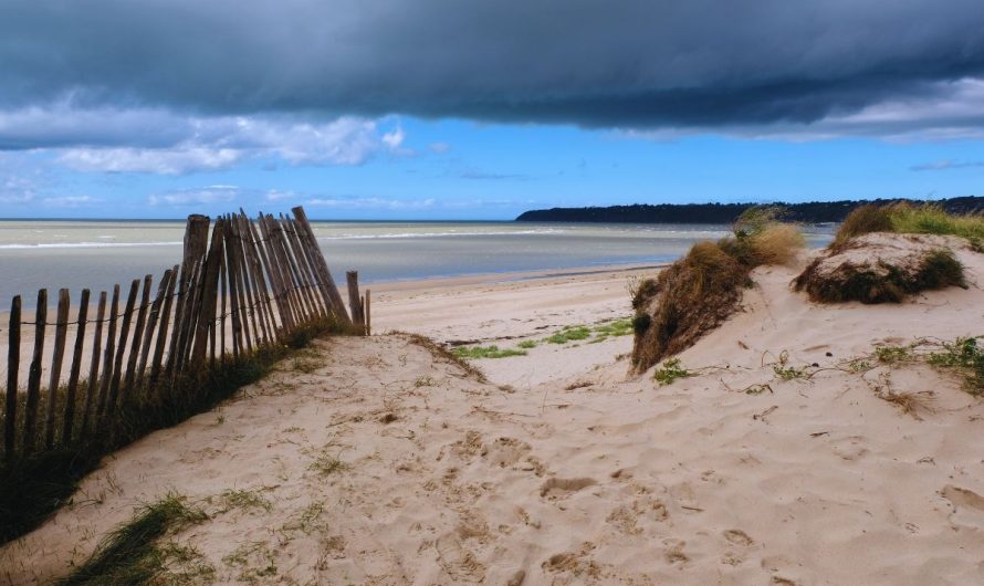 Comment profiter d’un séjour en Normandie ?