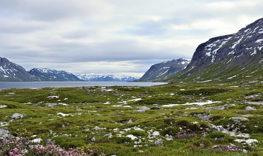 Découvrir la Norvège en camping-car